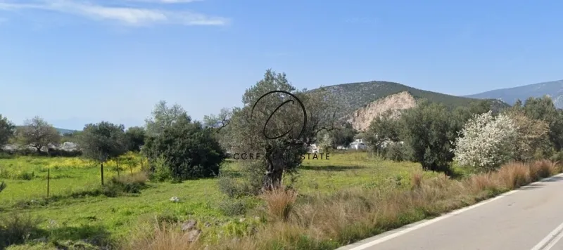 Οικόπεδο 4472τ.μ.  - 5
