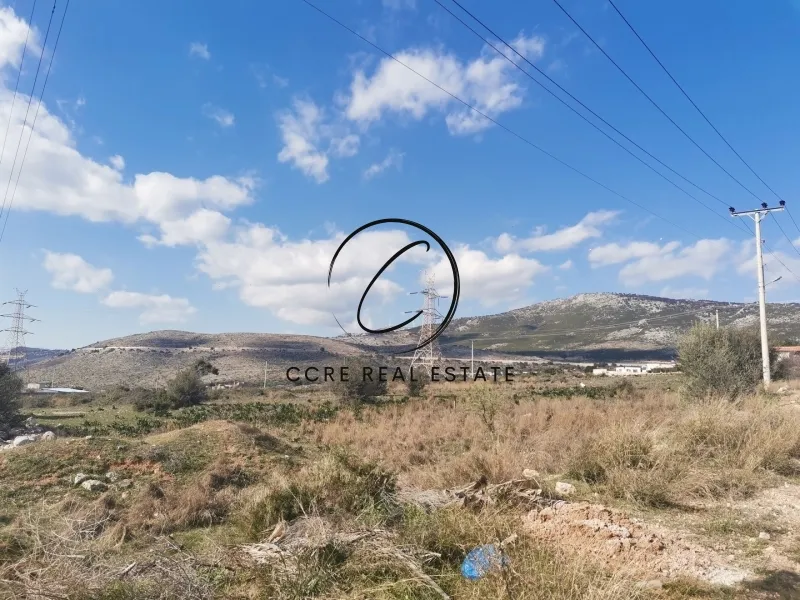 Οικόπεδο 7200τ.μ.  - 4