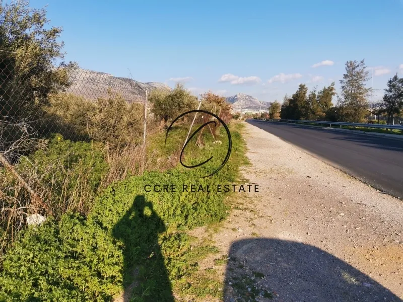 Οικόπεδο 6000τ.μ.  - 5