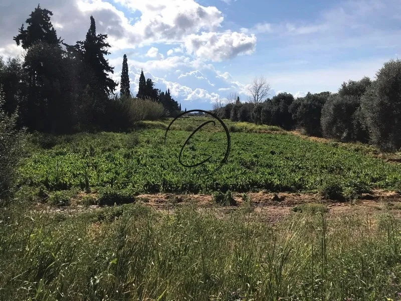 Αγροτεμάχιο 40000τ.μ.  - 4