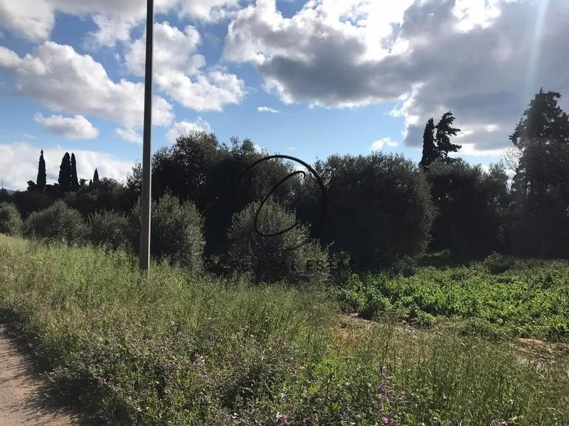 Αγροτεμάχιο 40000τ.μ.  - 5
