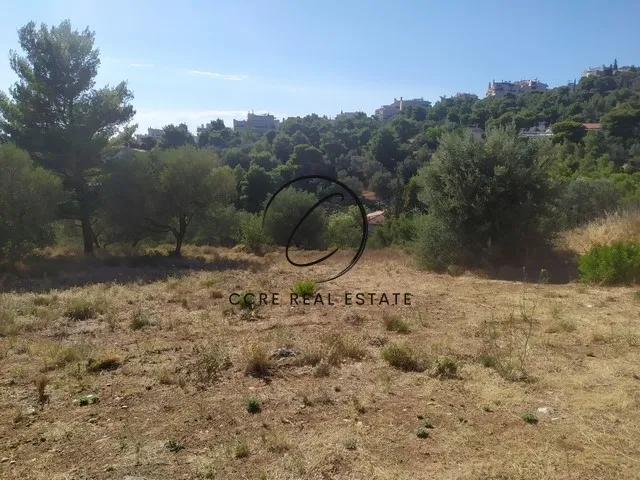 Plot 614m²  - 2