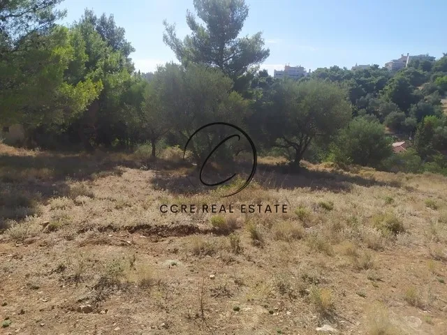 Plot 614m²  - 3