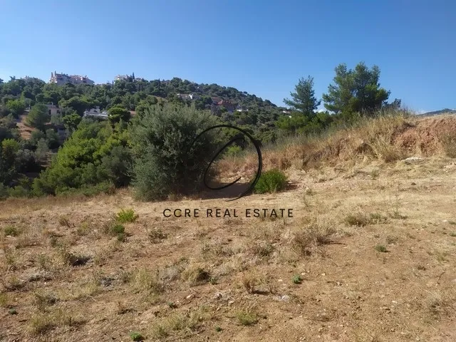 Plot 614m²  - 4