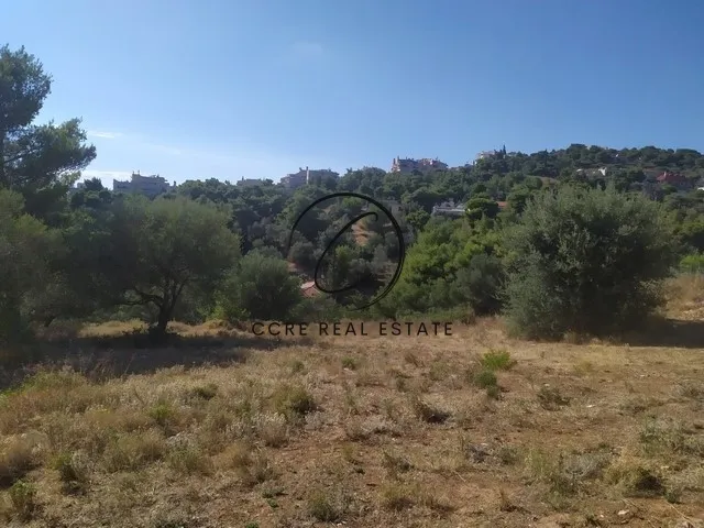 Plot 614m²  - 5