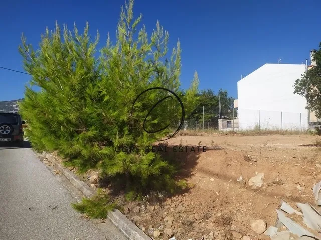 Plot 225m²  - 2