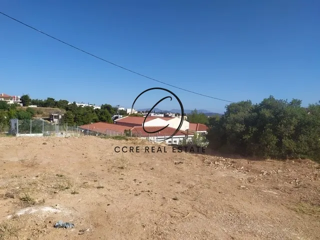Plot 225m²  - 3