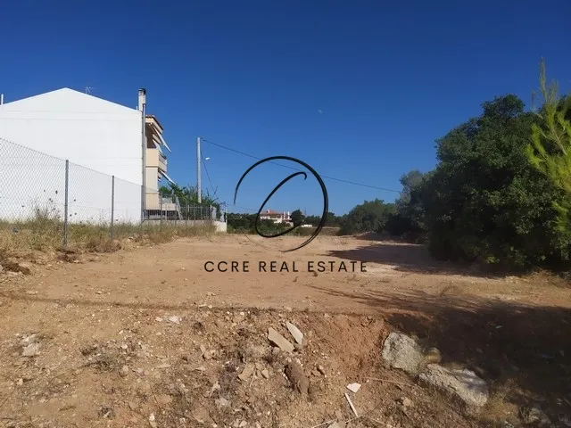 Plot 225m²  - 4