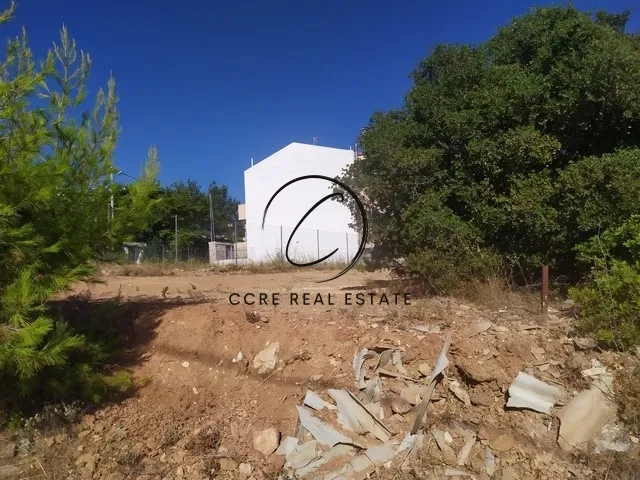 Plot 225m²  - 5