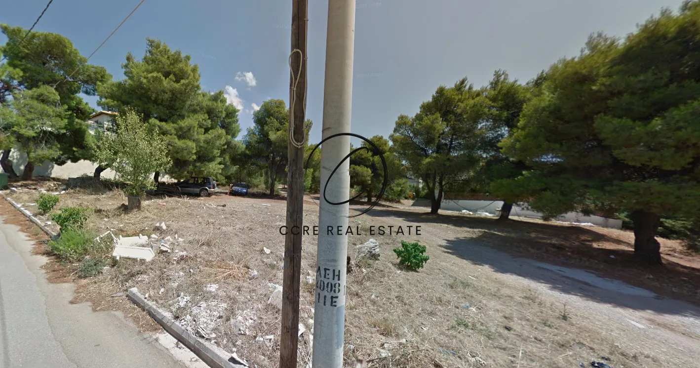 Οικόπεδο 1577τ.μ.  - 4