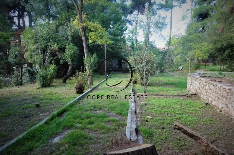 Οικόπεδο 1272τ.μ.  - 2
