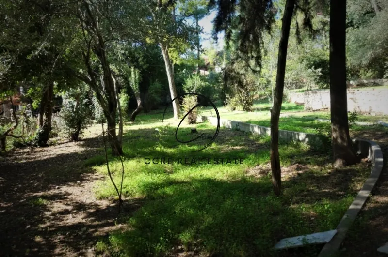 Οικόπεδο 1272τ.μ.  - 4