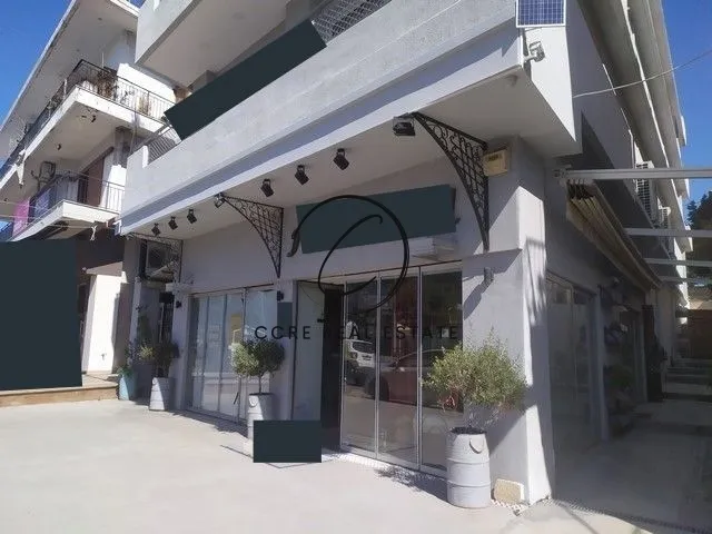Κατάστημα 230τ.μ.  - 2