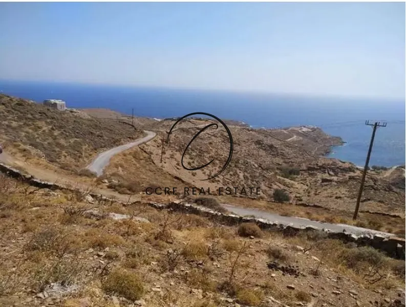 Οικόπεδο 44000τ.μ.  - 2