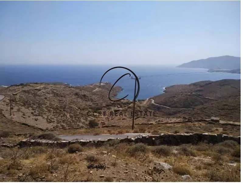 Οικόπεδο 44000τ.μ.  - 3