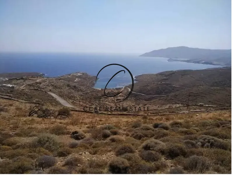 Οικόπεδο 44000τ.μ.  - 4