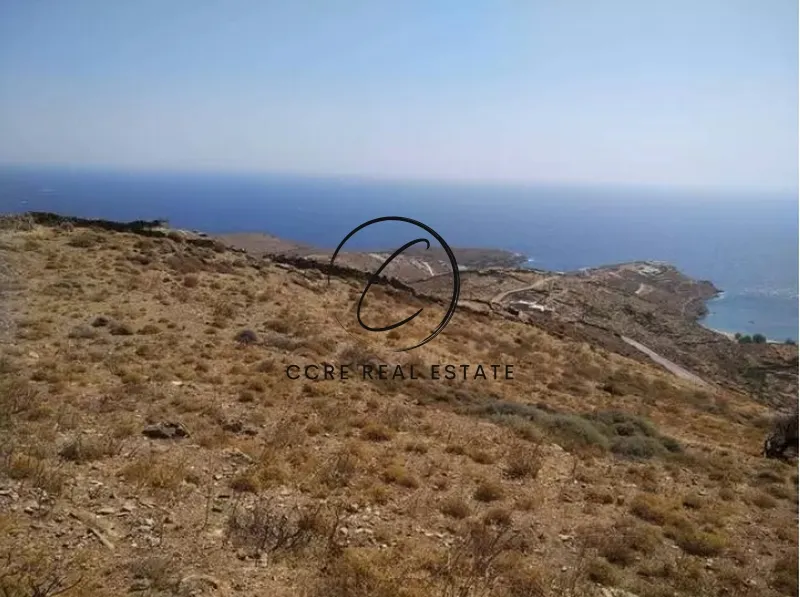 Οικόπεδο 44000τ.μ.  - 5
