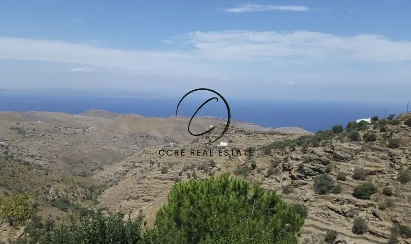 Αγροτεμάχιο 6489τ.μ.  - 4