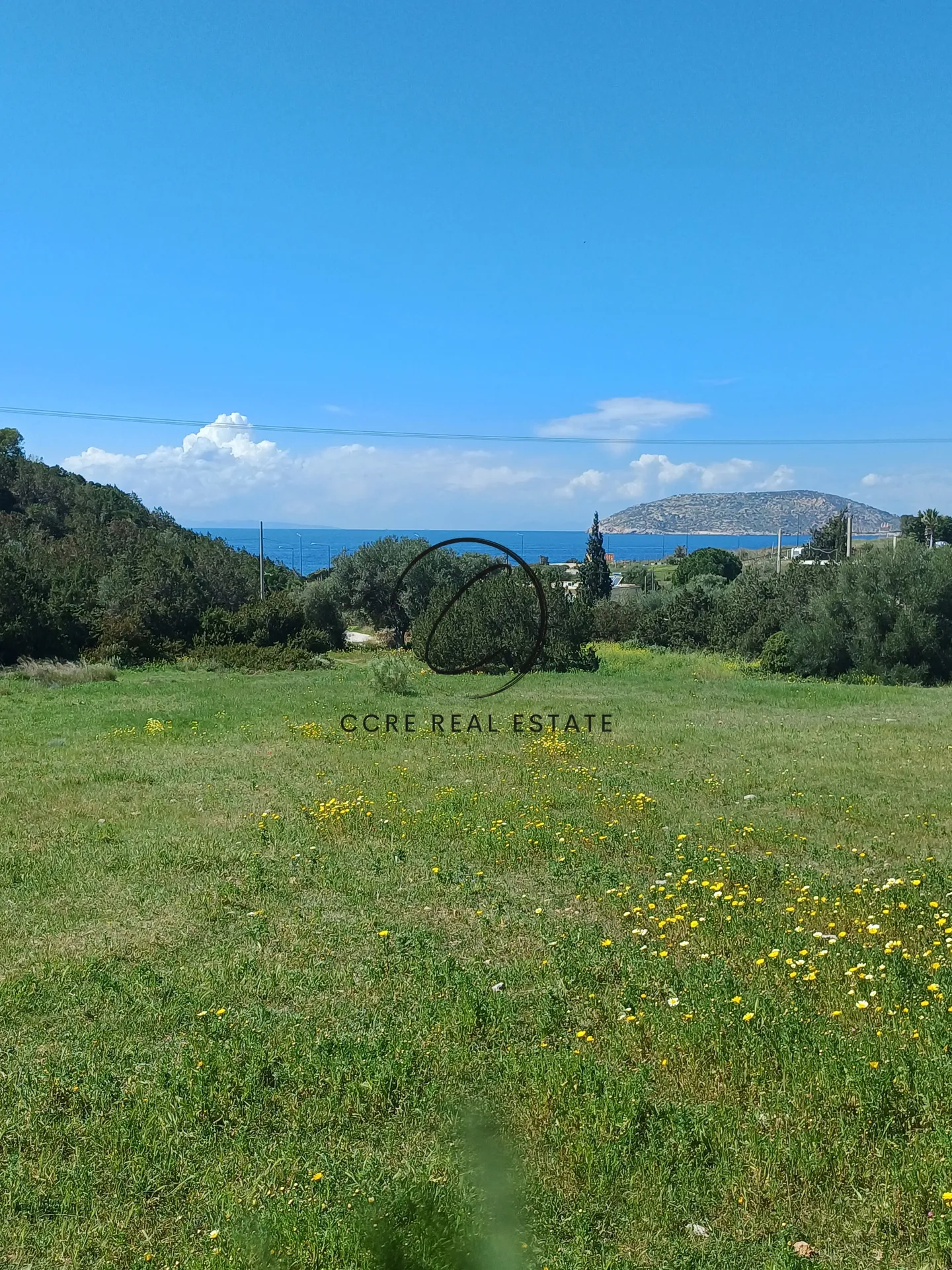 Οικόπεδο 7125τ.μ.  - 2