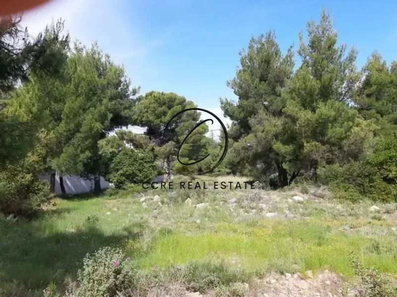Plot 560m²  - 2