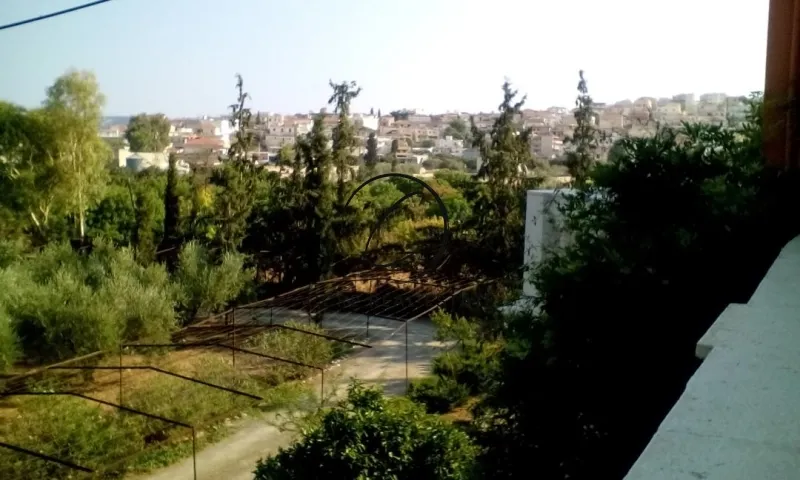 Οικόπεδο 21365τ.μ.  - 3