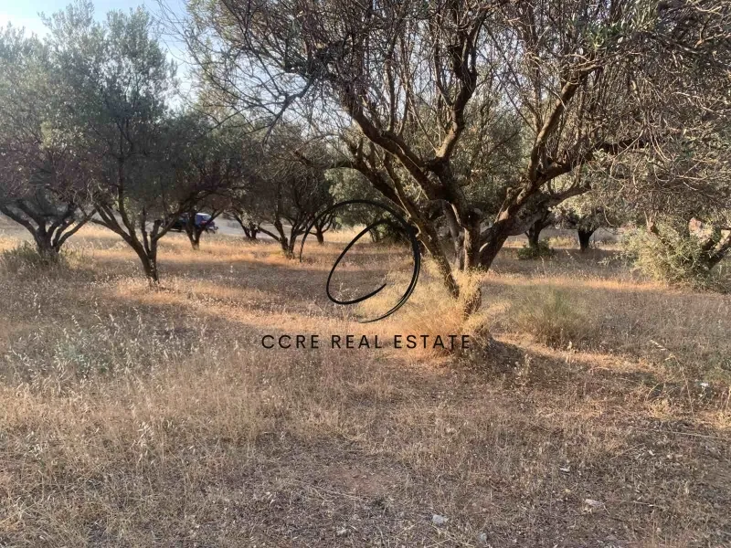 Οικόπεδο 875τ.μ.  - 3
