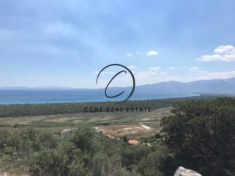 Οικόπεδο 1035τ.μ.  - 3