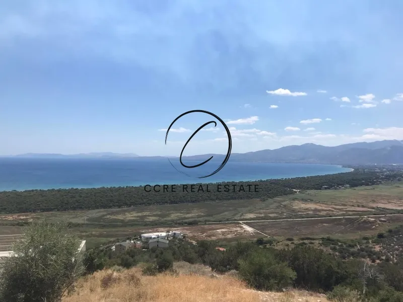 Οικόπεδο 1035τ.μ.  - 5