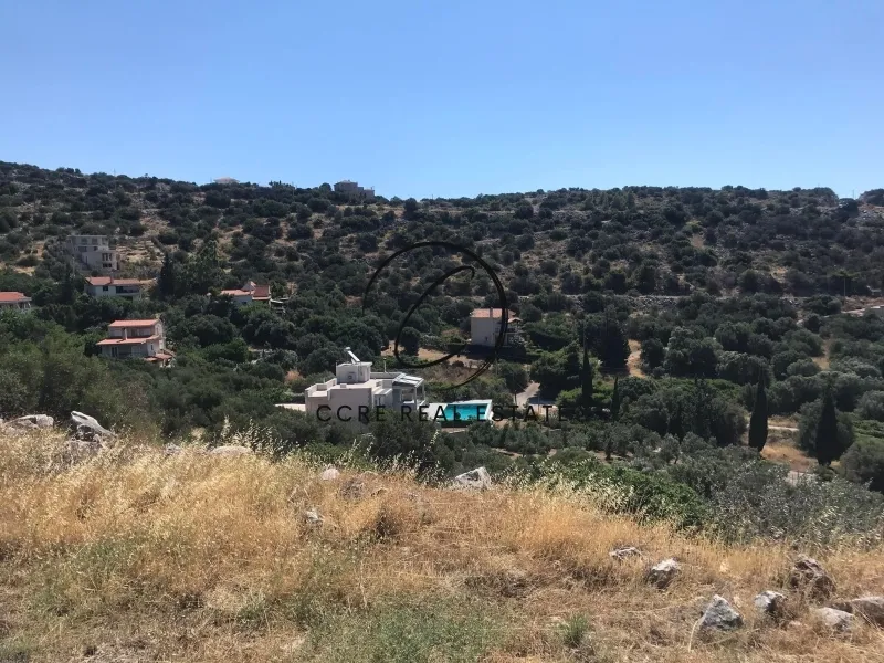 Οικόπεδο 1045τ.μ.  - 3