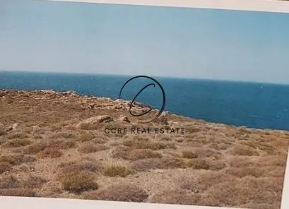 Οικόπεδο 4000τ.μ.  - 3