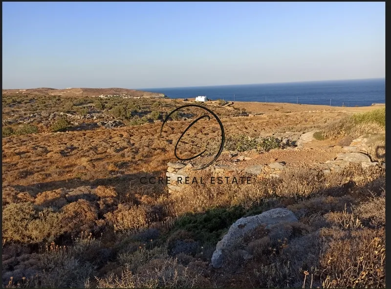 Οικόπεδο 4700τ.μ.  - 3