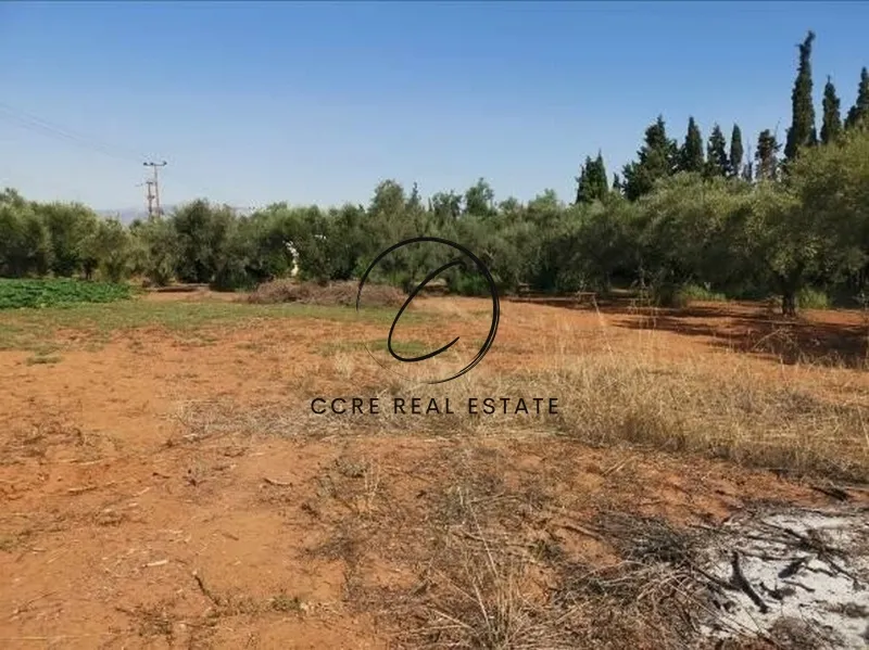 Plot 7042m²  - 3