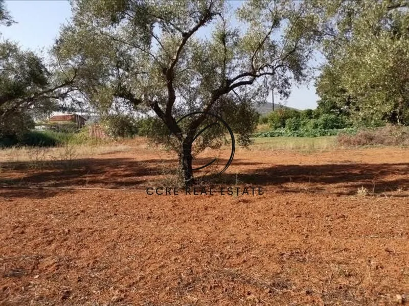 Plot 7042m²  - 4