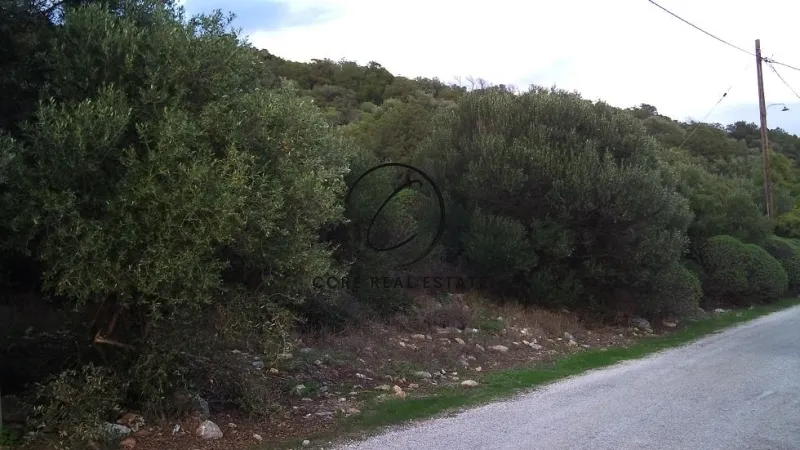 Plot 530m²  - 4
