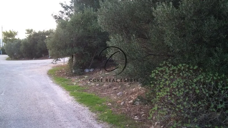 Plot 530m²  - 5