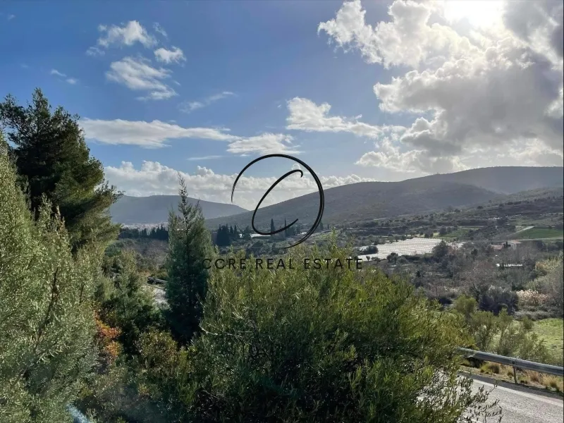 Αγροτεμάχιο 5600τ.μ.  - 3