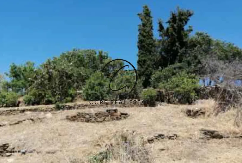 Οικόπεδο 5573τ.μ.  - 3