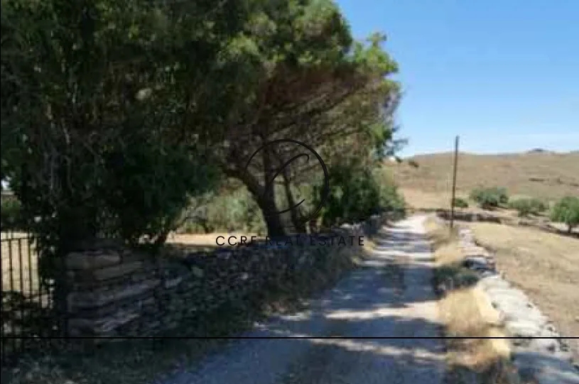 Οικόπεδο 5573τ.μ.  - 4