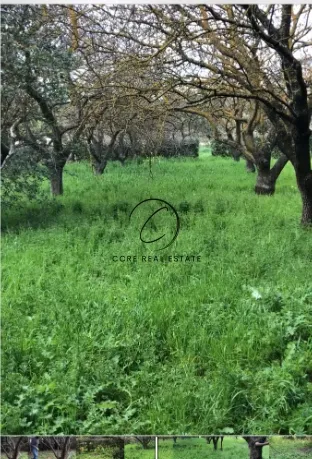 Οικόπεδο 4951τ.μ.  - 2