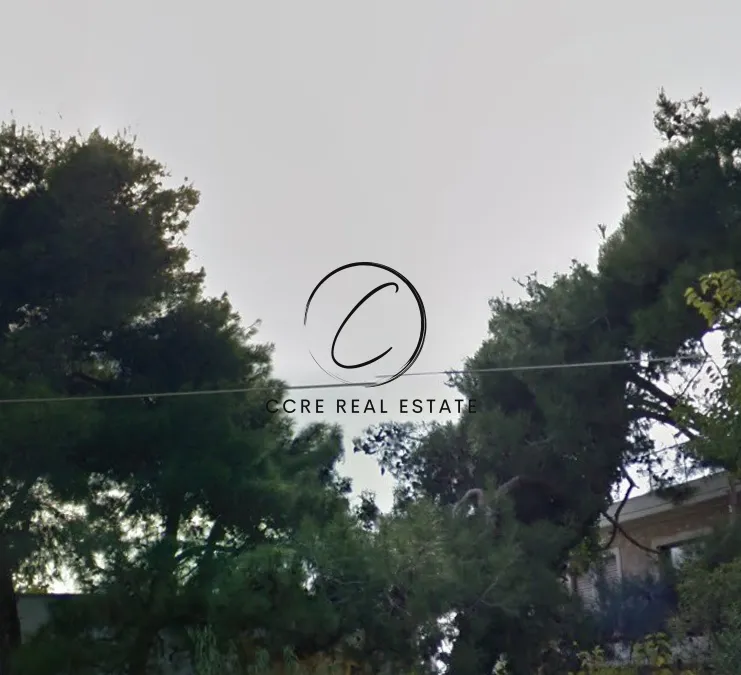 Οικόπεδο 830τ.μ.  - 3