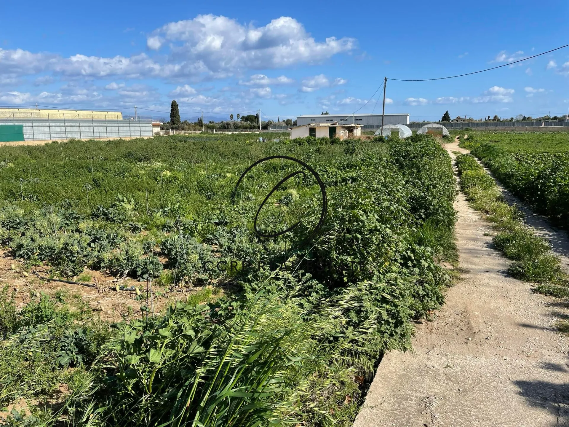 Plot 18800m²  - 2