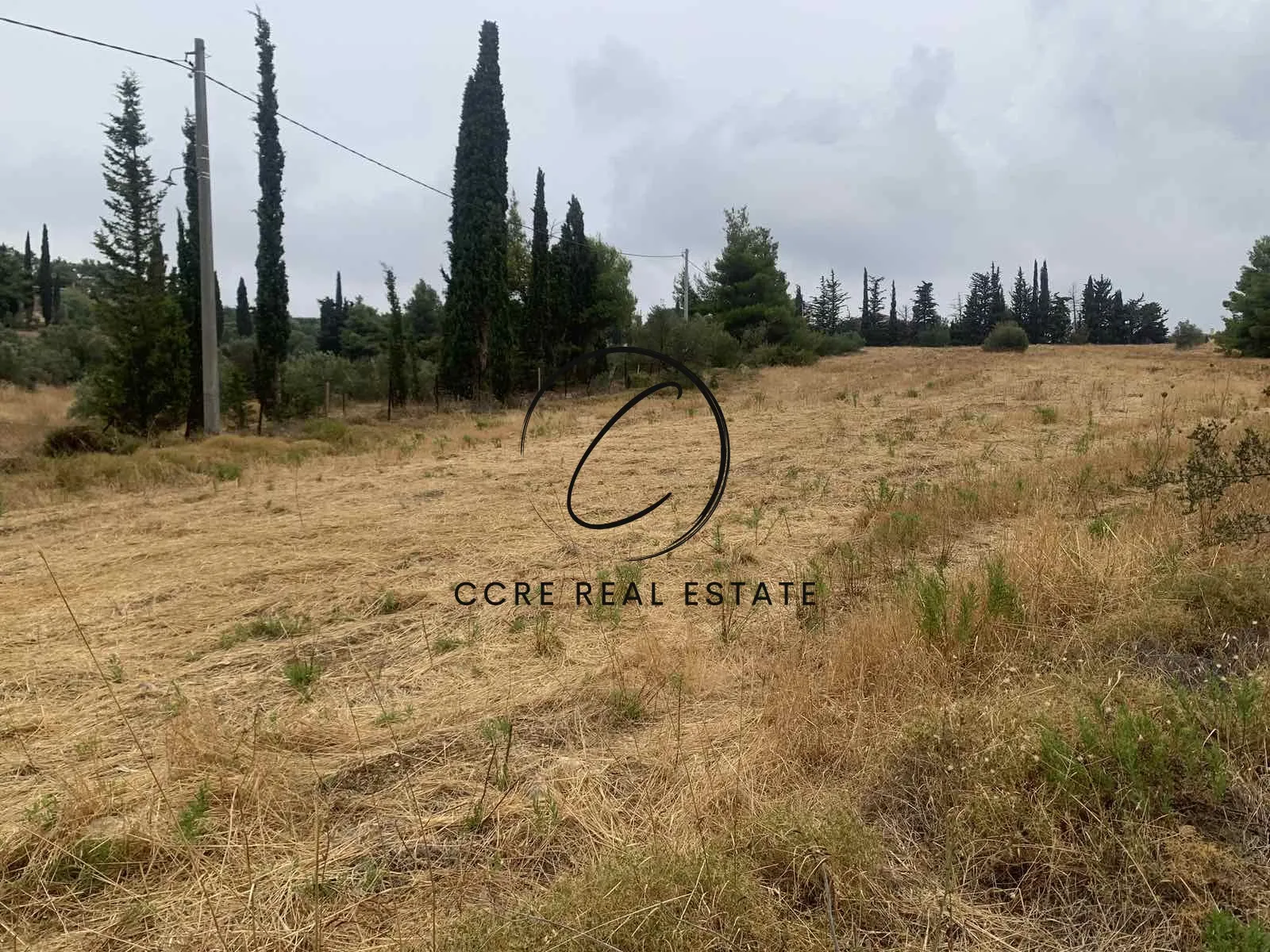 Plot 10400m²  - 2