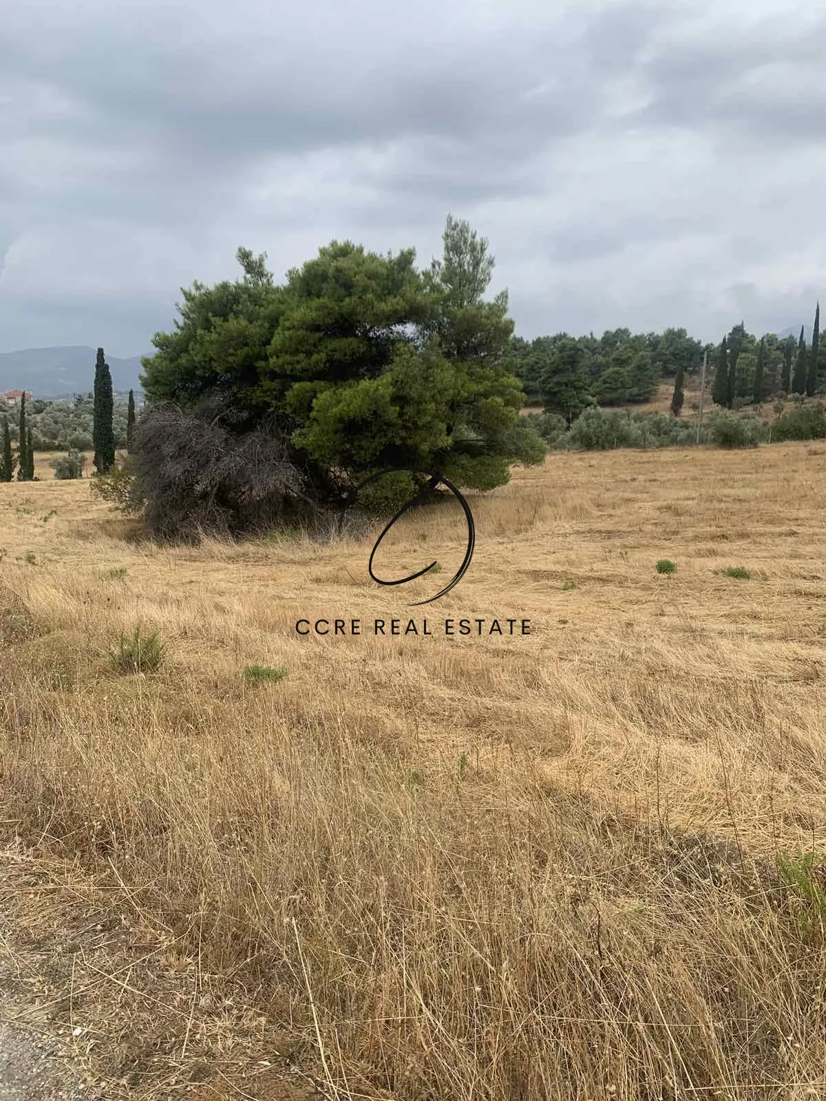 Plot 10400m²  - 3