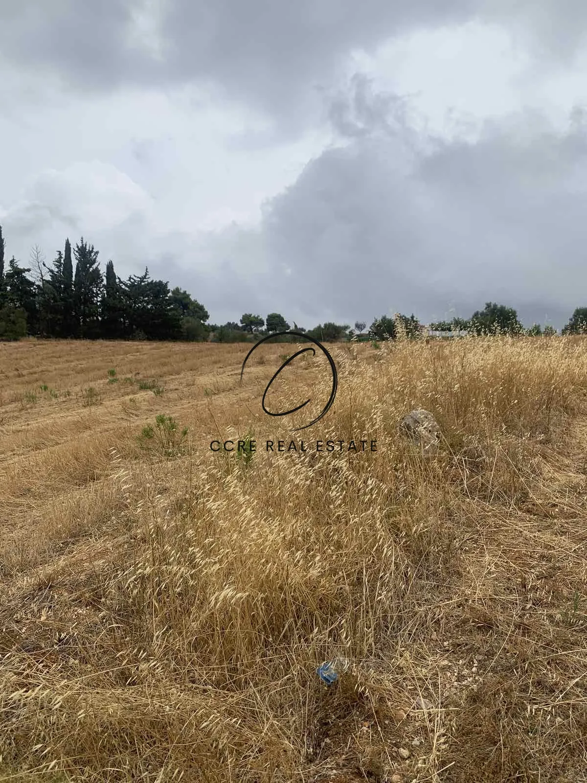 Plot 10400m²  - 4