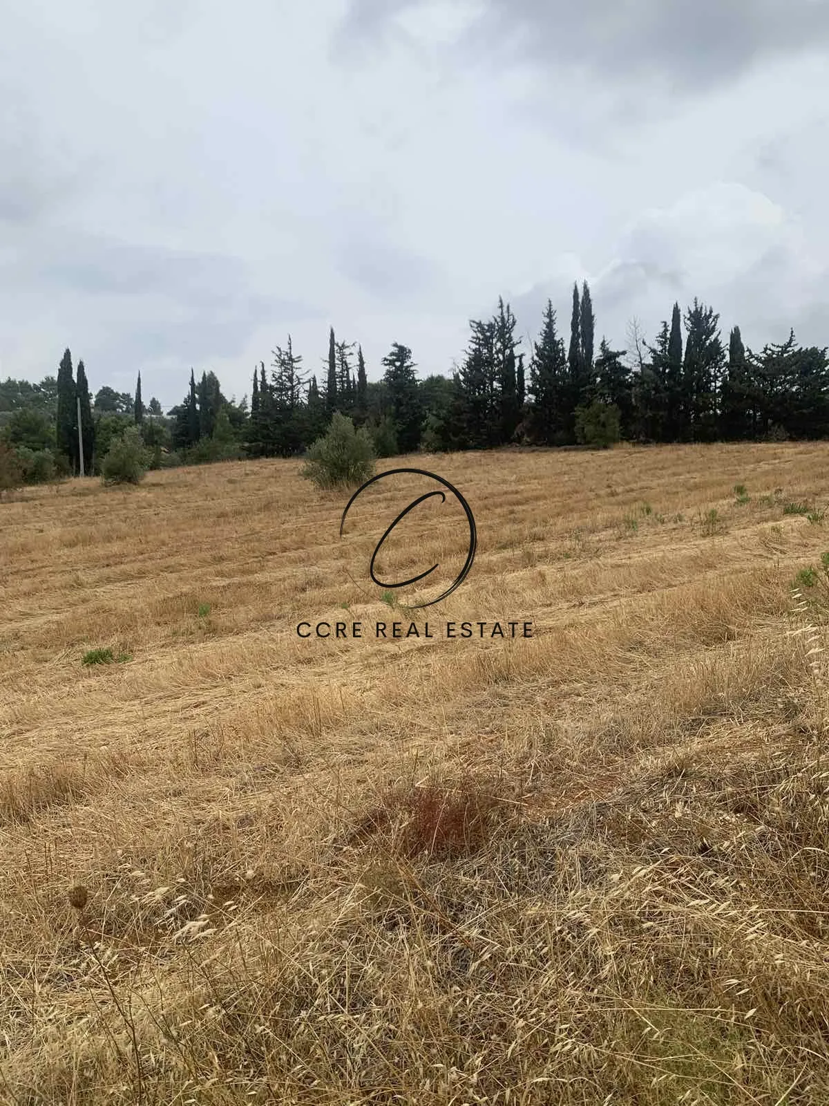 Plot 10400m²  - 5