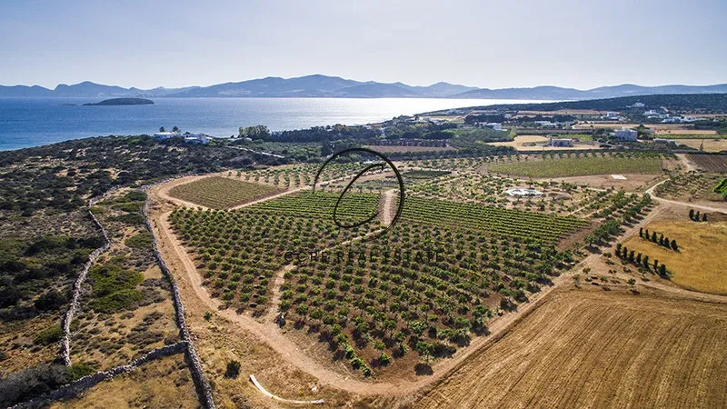 Plot 48000m²  - 5