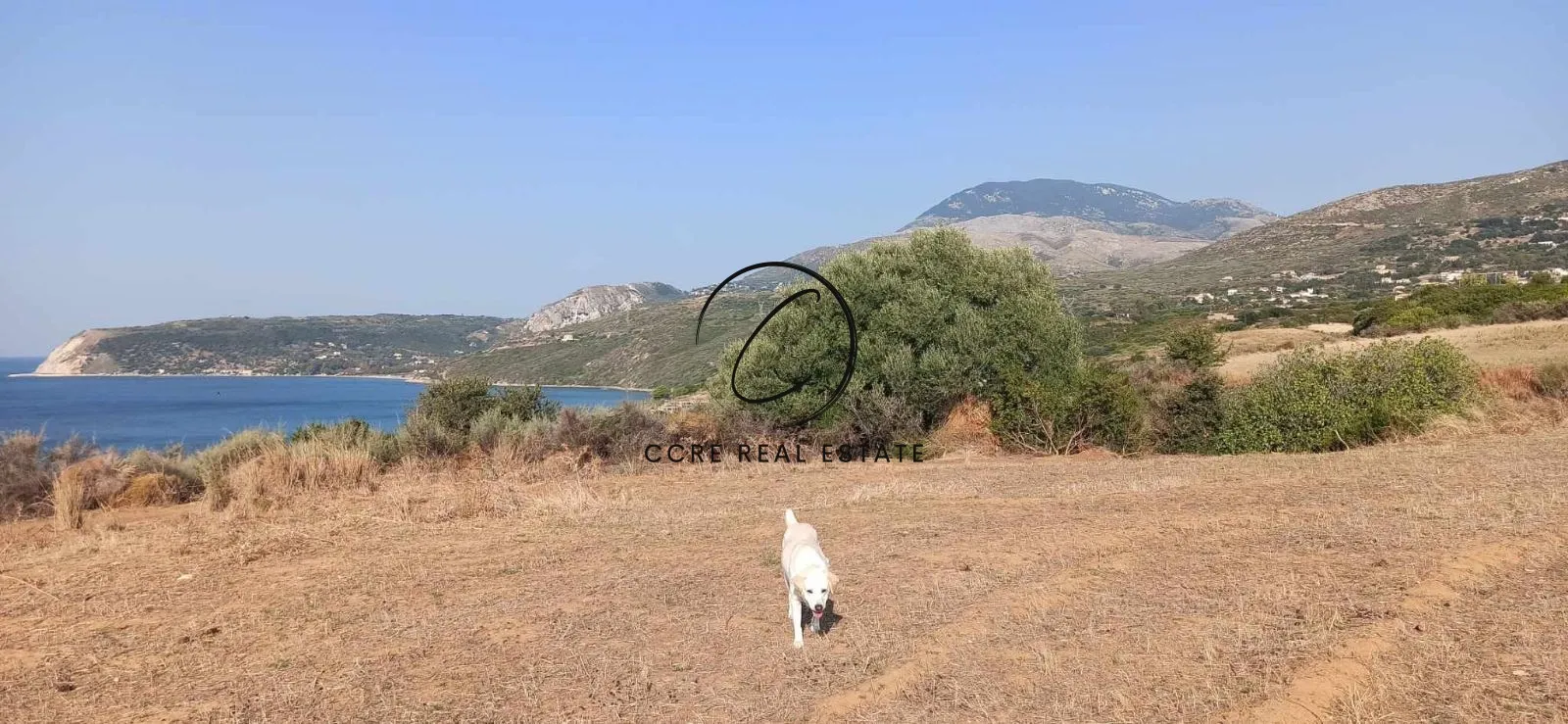 Αγροτεμάχιο 21869τ.μ.  - 3