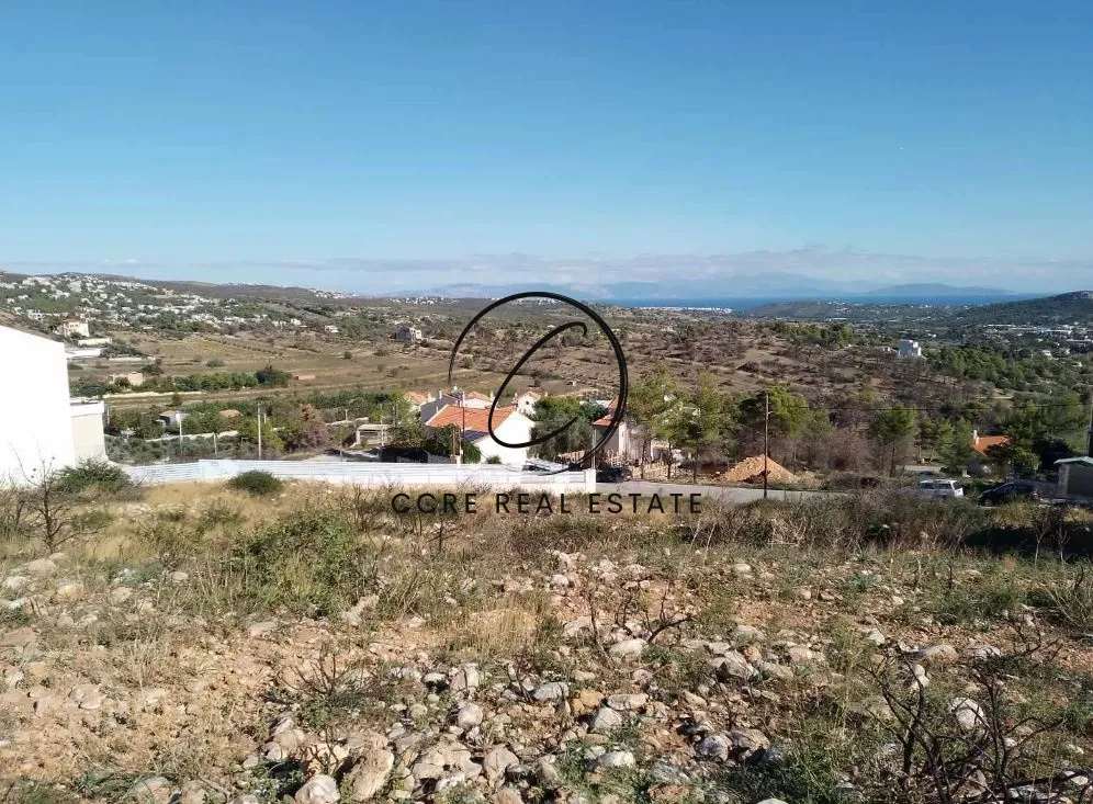 Οικόπεδο 1350τ.μ.  - 2