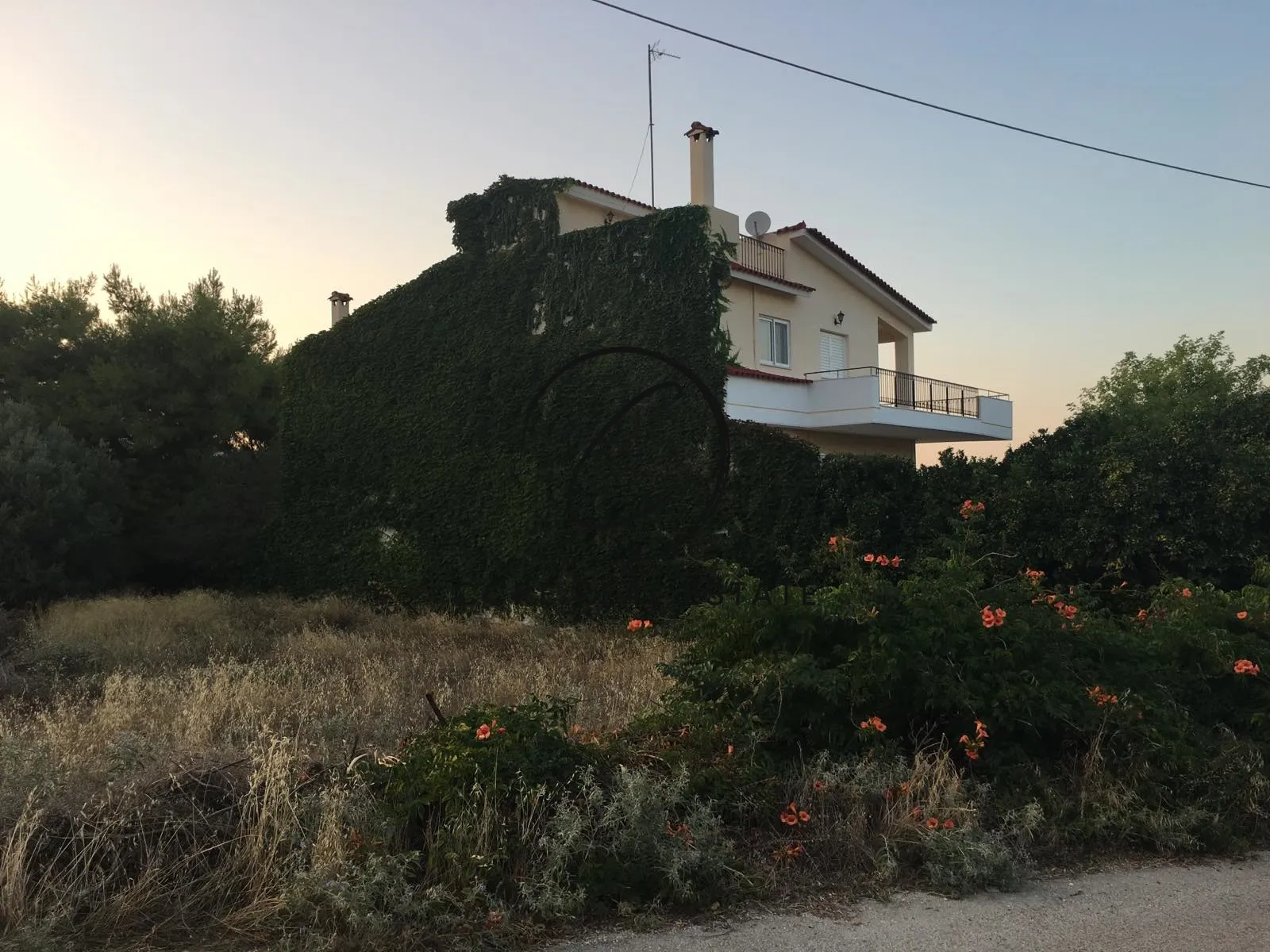 Plot 590m²  - 2