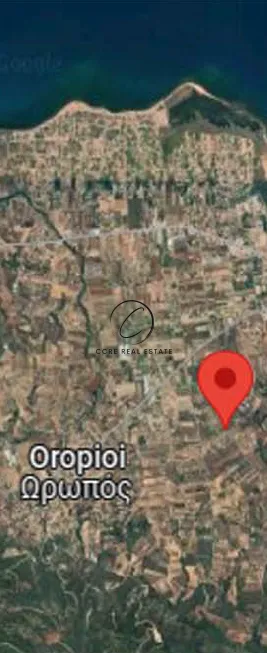 Οικόπεδο 4850τ.μ.  - 2